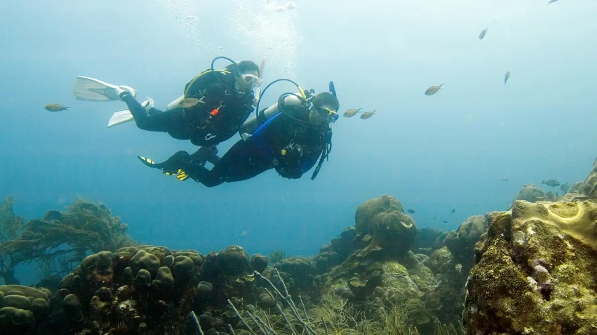 Deep Diver
