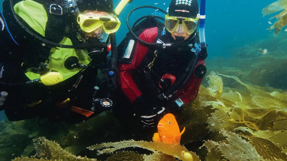 PADI Dry Suit Diver