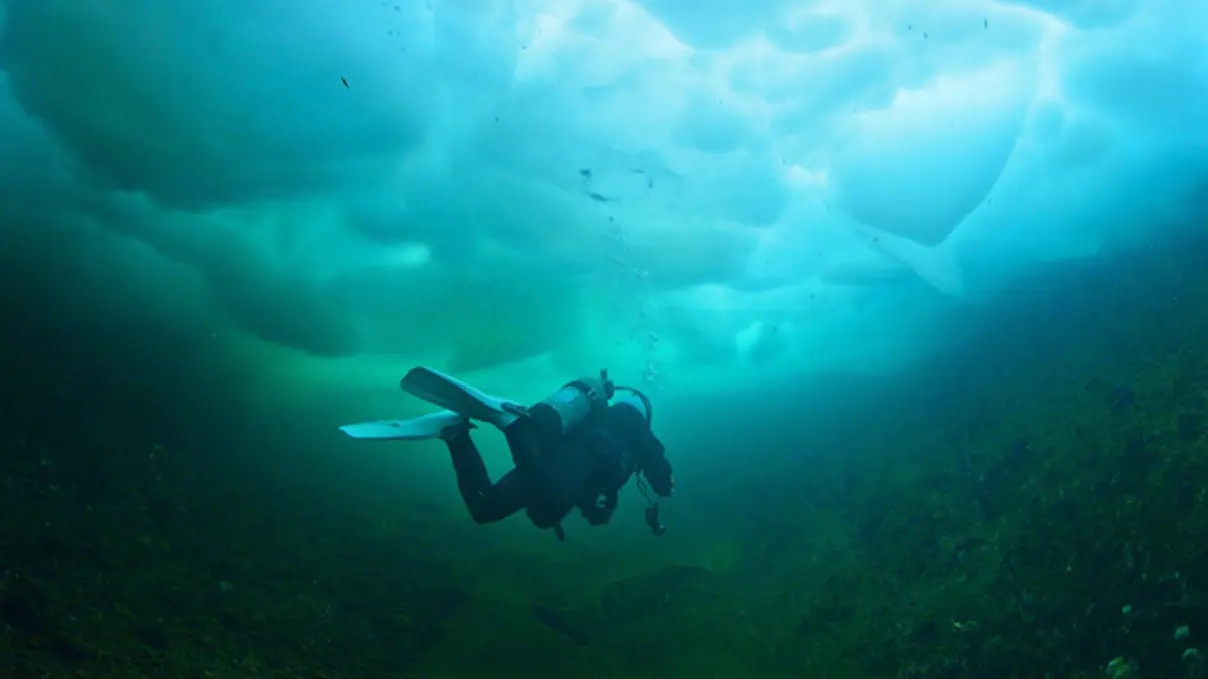 Ice Diver