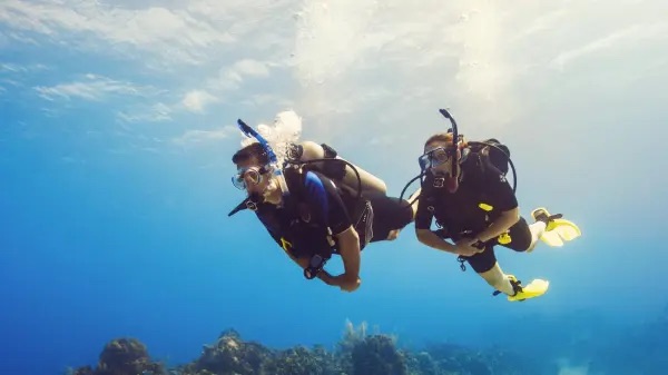 PADI Scuba Diver
