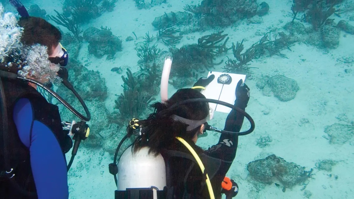 Underwater Navigator
